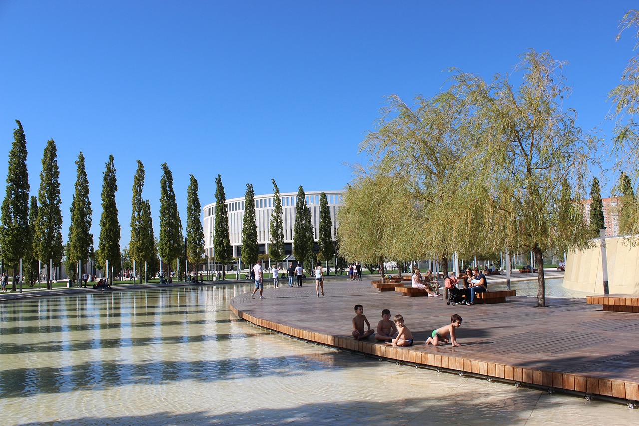 士关注的焦 士关注的焦