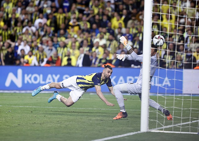 了一个典范 了一个典范