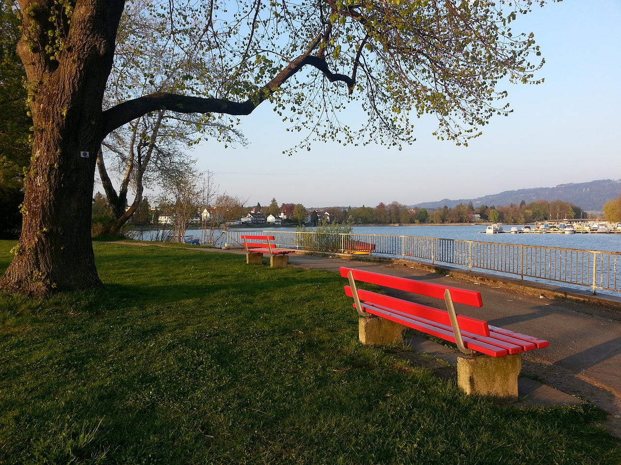 今年的少儿 今年的少儿