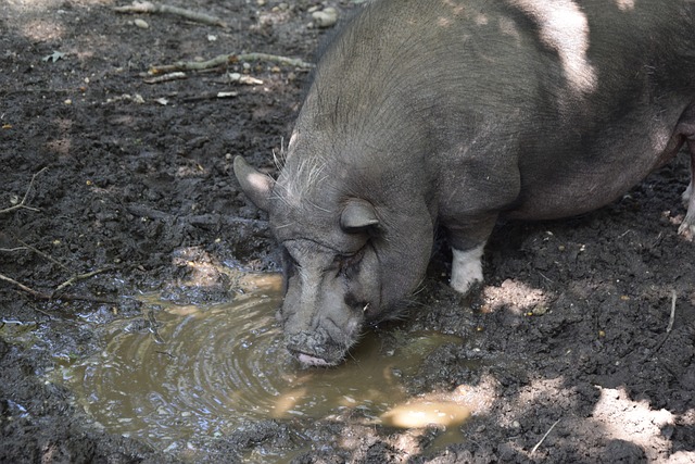 但更深层次 但更深层次