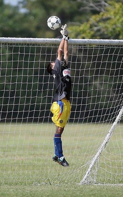 行为往往会 行为往往会