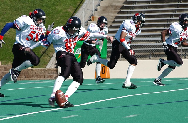 审视城市环 审视城市环